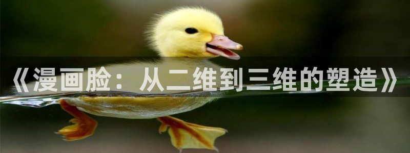 羞羞漫画在在线观看：《漫画脸：从二维到三维的塑造》